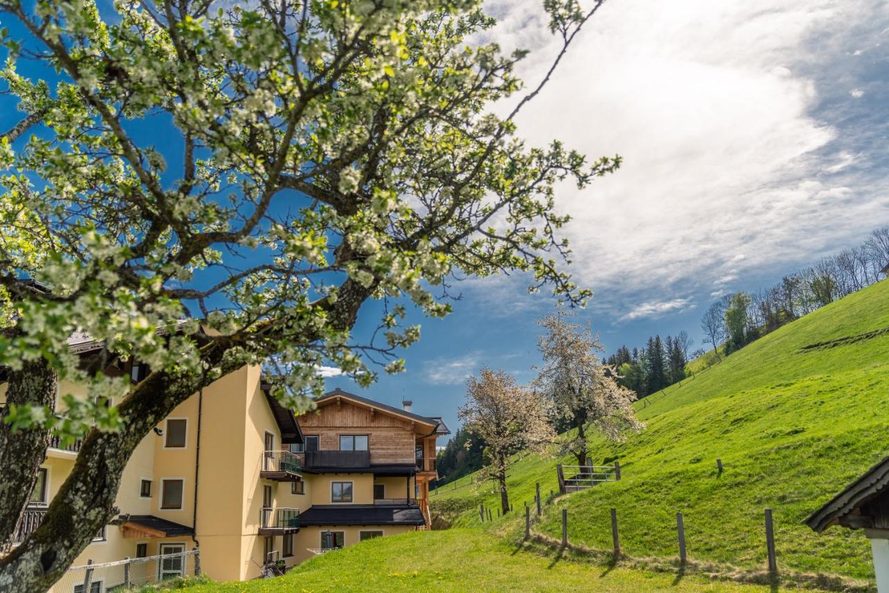 Hotel Starchlhof 3*
